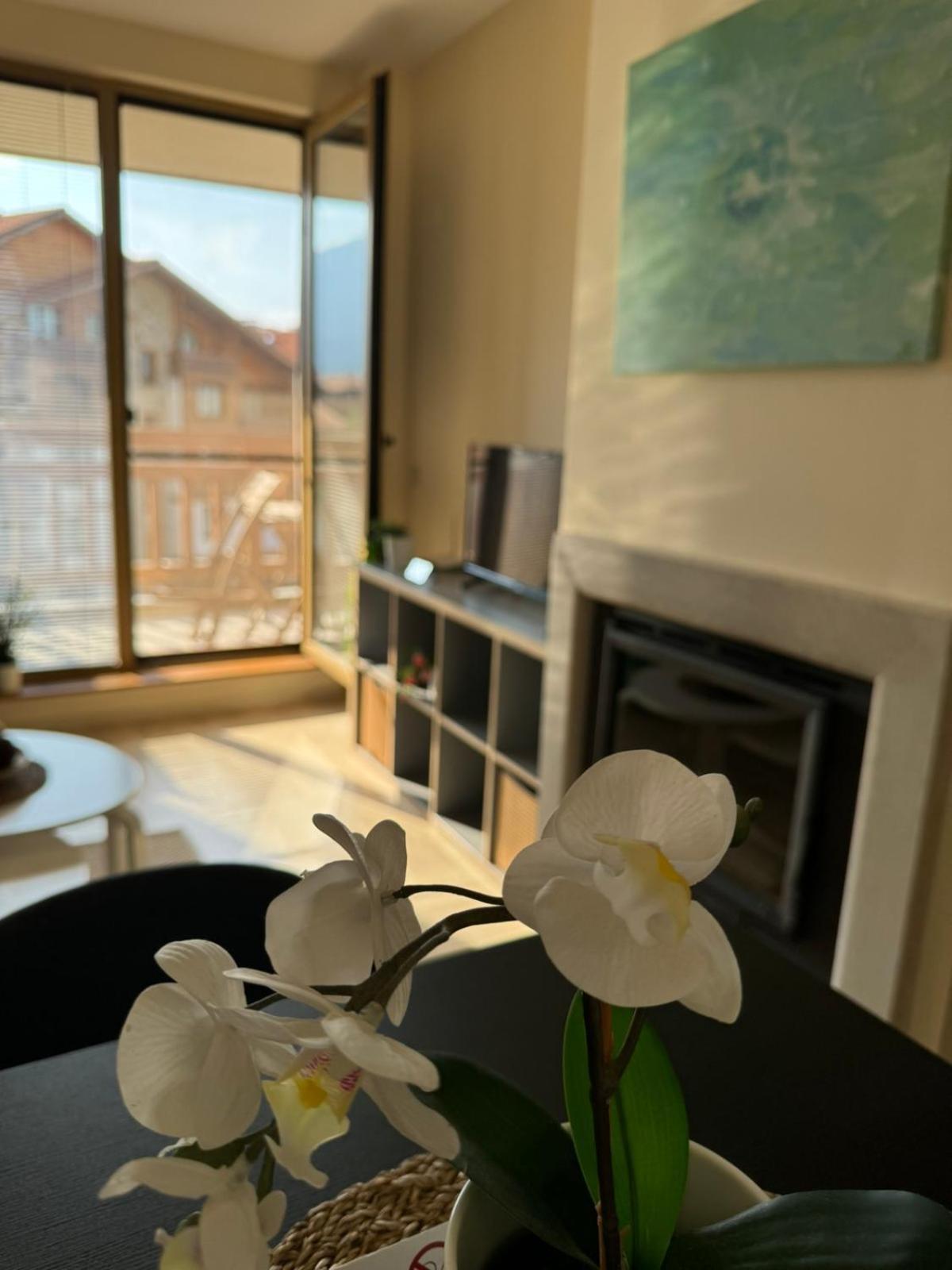 Emerald Buddha Apartment Bansko Zewnętrze zdjęcie