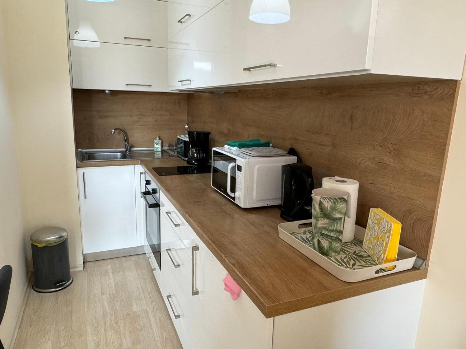 Emerald Buddha Apartment Bansko Zewnętrze zdjęcie
