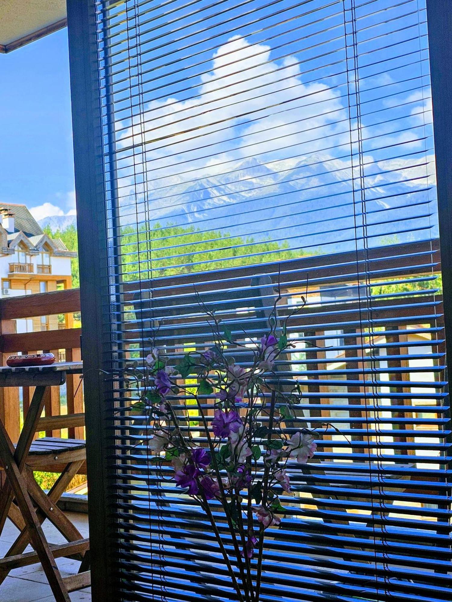 Emerald Buddha Apartment Bansko Zewnętrze zdjęcie