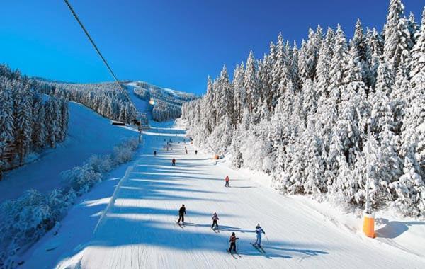 Emerald Buddha Apartment Bansko Zewnętrze zdjęcie